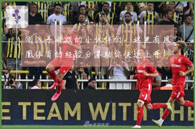 刚入手游戏的小伙伴们，这里有凤凰体育的经验分享助你快速上手！