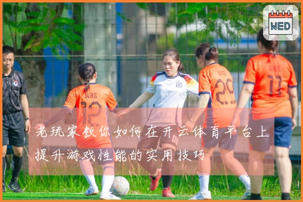 老玩家教你如何在开云体育平台上提升游戏性能的实用技巧